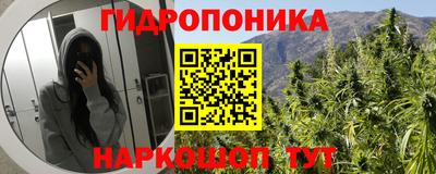ALPHA PVP Камышлов
