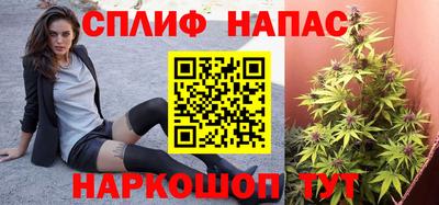 ALPHA PVP Камышлов