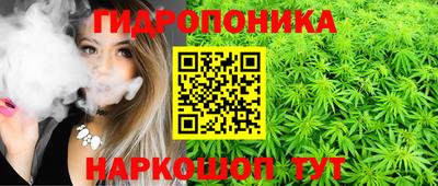 ALPHA PVP Камышлов