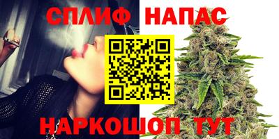 дживик Кандалакша