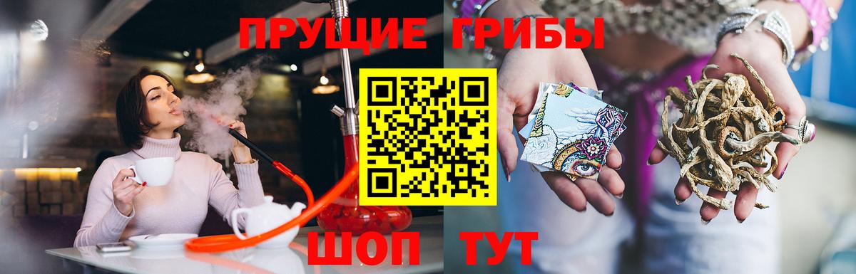 Галлюциногенные грибы прущие грибы Лесной